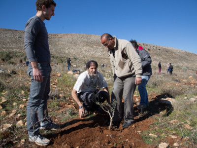 À Douma en Palestine, Israéliens et Palestiniens plantent ensemble des oliviers