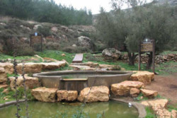 Des sources d’eau usurpées en Cisjordanie selon un rapport de l’ONU