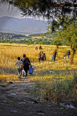 Sur la route des Balkans : récits de Eidomeni à la frontière gréco-macédonienne