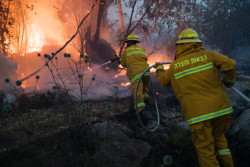 La Terre Sainte en proie à un pic de chaleur incendiaire