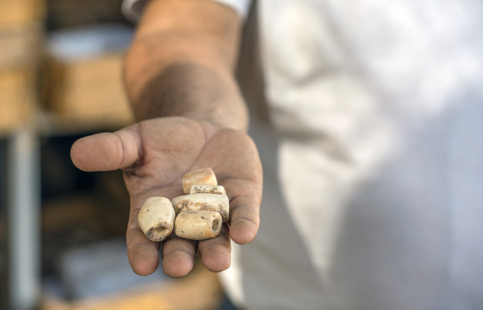 Perles découvertes sur le site archéologique de Motza, près de Jérusalem © Yaniv Berman, Autorité des Antiquités israéliennes