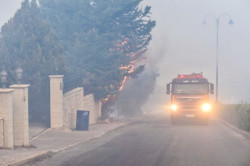 Catastrophe naturelle : le Liban vert sous la cendre grise