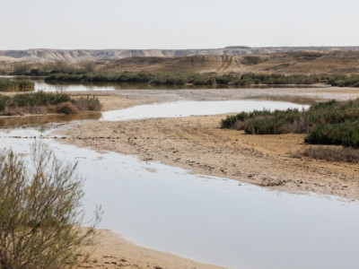 Israël va créer 7 réserves naturelles en Cisjordanie occupée