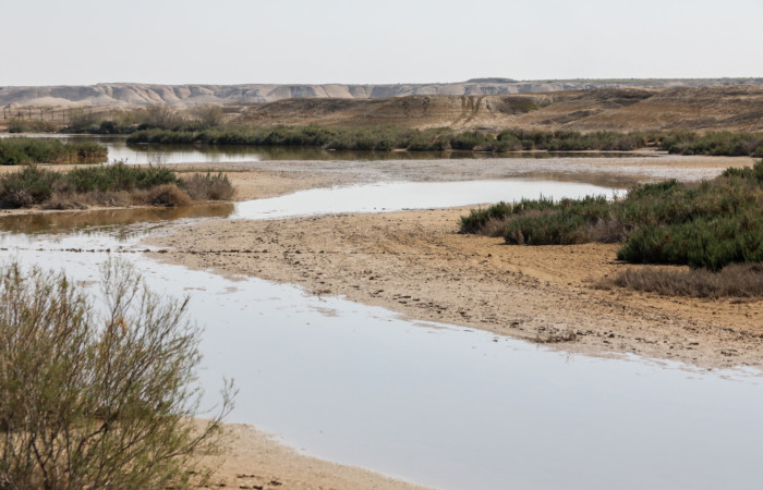 Israël va créer 7 réserves naturelles en Cisjordanie occupée