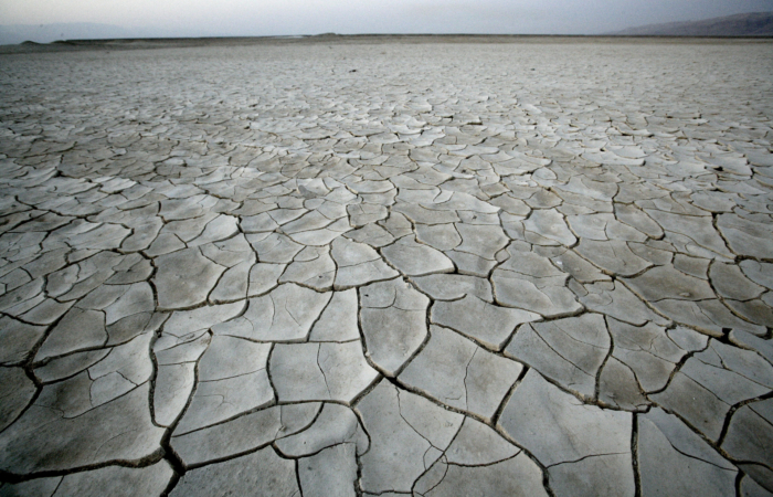 La terre craquelée par la sécheresse. Israël/Cisjordanie ©ABIR SULTAN/Flash90 