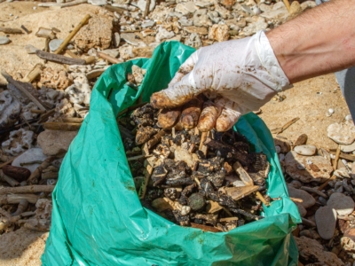 Israël face à la plus grosse marée noire de son histoire