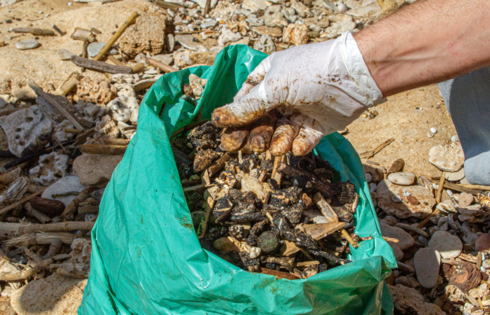 Des sacs entiers de débris contaminés par la marée noire ont été remplis tout au long de la semaine. 22 février 2021. Photo de Yonatan Sindel / Flash90
