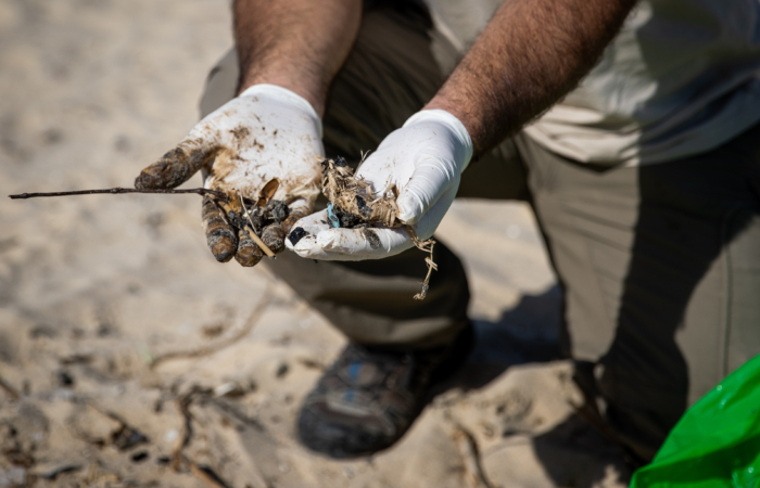 Le nettoyage est minutieux : il faut ramasser à la main chaque débris contaminé par le mazout. 22 février 2021. Photo de Yonatan Sindel / Flash90