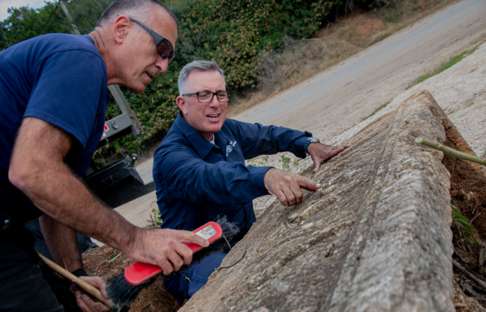 Oubliés il y a 25 ans, deux sarcophages romains viennent d'être redécouverts. Photo : Yoli Schwartz Israel Antiquities Authority 