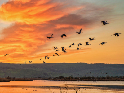 Le soleil et la mer pourraient faire décoller le Moyen-Orient