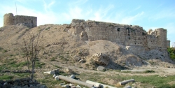 Ce que dit la découverte de charniers de croisés à Sidon