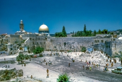 Vincent Lemire : «La destruction du quartier Maghrébin était planifiée par Israël»
