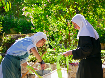 Quand les religieux de Terre Sainte se « serrent les coudes » et « font Église »