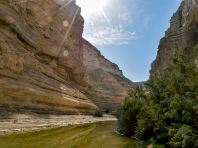 Venez et voyez: Avdat, de l’eau au désert