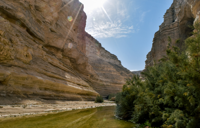 Venez et voyez: Avdat, de l’eau au désert