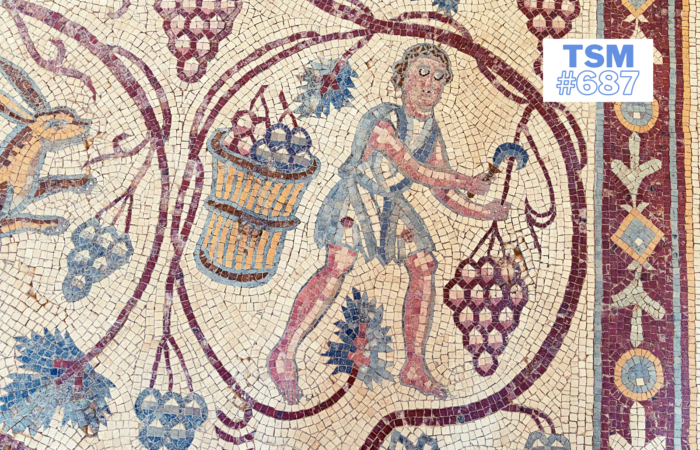 Terre sainte: de la vigne au vin