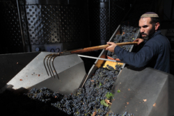 Le vin casher, c’est quoi ?