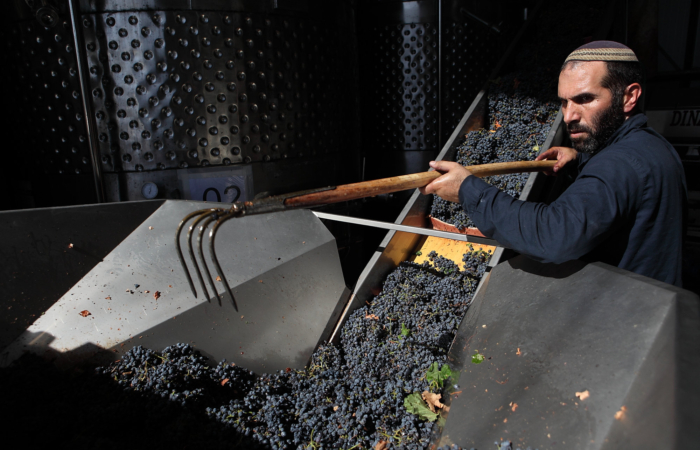 Le vin casher, c’est quoi ?