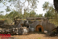 Saint-Sépulcre : quand évangile, tradition et archéologie convergent