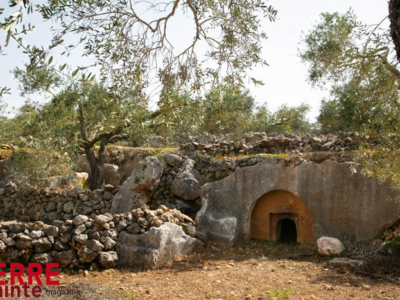 Saint-Sépulcre : quand évangile, tradition et archéologie convergent