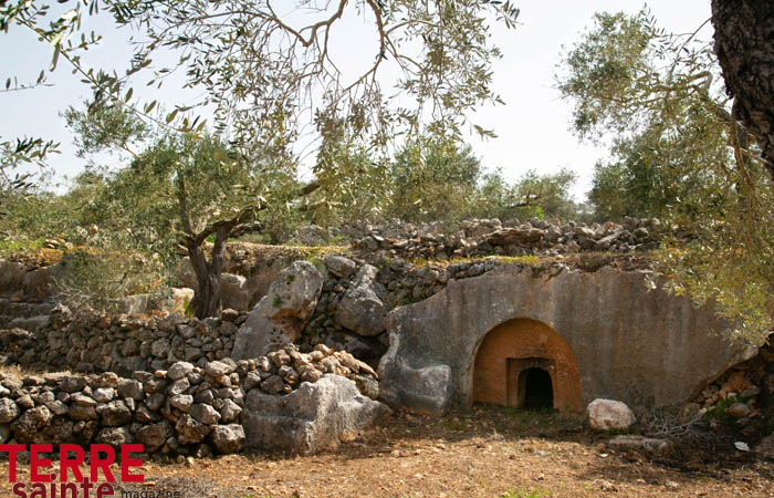 Saint-Sépulcre : quand évangile, tradition et archéologie convergent