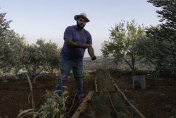 À Taybeh, Fouad Muaddi plante les graines d’un mode de vie alternatif