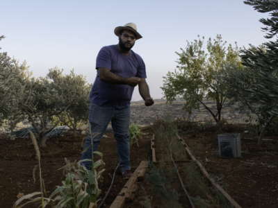 À Taybeh, Fouad Muaddi plante les graines d’un mode de vie alternatif