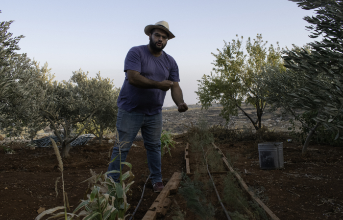 À Taybeh, Fouad Muaddi plante les graines d’un mode de vie alternatif