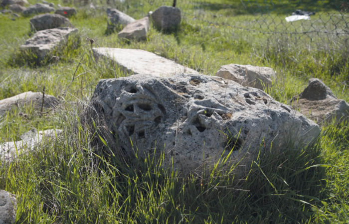 Restes de colonnes et de chapiteaux sculptés affleurent  le sol du site abandonné.