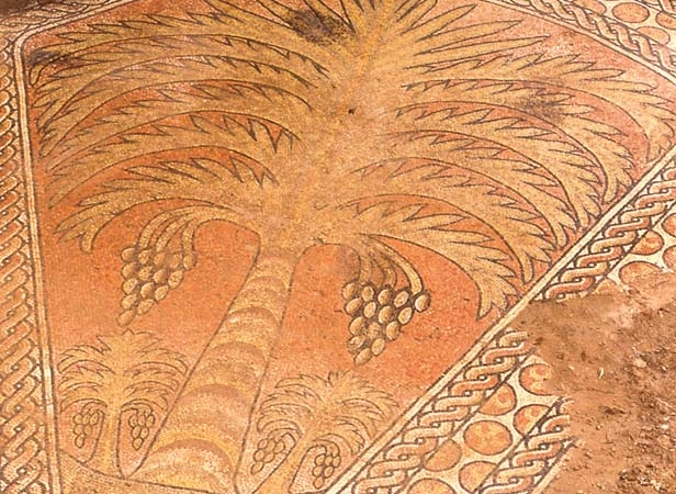 
La mosaïque des palmes telle que les archéologues israéliens ont pu la photographier lors des fouilles à la fin des années 1990.
