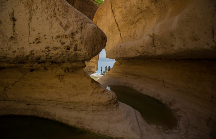 Essentielle  à l’écosystème  de la mer Morte, l’eau douce des sources et bassins d’Ein Gedi fait la joie des touristes.