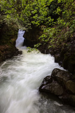 Le Jourdain de la source au delta