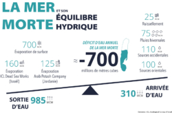 Pourquoi la mer se meurt-elle ?