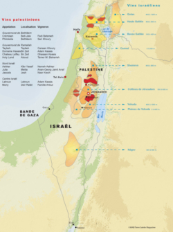 Carte des appellations locales