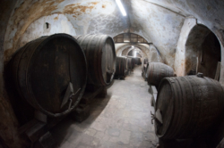 La cave cachée de Saint-Sauveur