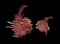 L’écarlate, cette teinture biblique utilisée il y a 3 800 ans
