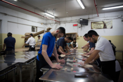 Cuisson contre la montre : la fabrique du pain  de la Pâque juive