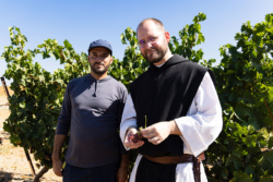 Les moines de Latroun ont besoin de bras en août pour les vendanges !