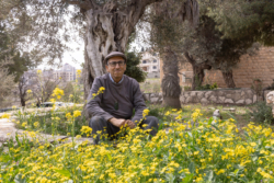 Mazin Qumsiyeh: « Se reconnecter à la nature, c’est se libérer »