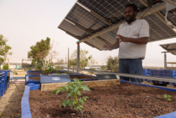 Dans le désert d’Arava, le dialogue au service de l’environnement