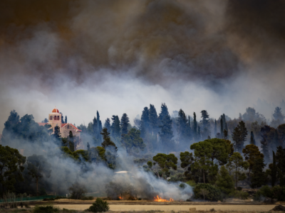 Feu de forêt près de Jérusalem: Latroun perd une partie de son vignoble