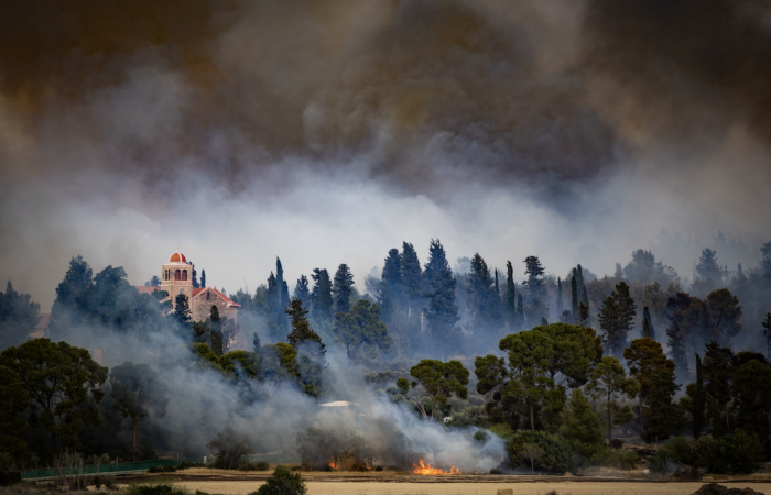 Feu de forêt près de Jérusalem: Latroun perd une partie de son vignoble