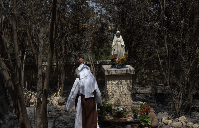 Après le plus gros incendie d’Israël, Latroun et Emmaüs-Nicopolis évaluent les dégâts