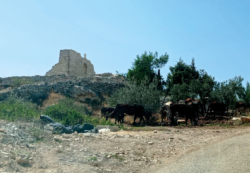 Taybeh, Gaza: les chrétiens sont-ils visés ?