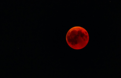 Les musulmans en prière pour la lune rouge