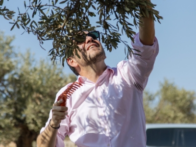 📺Délégations diplomatiques en soutien aux paysans de Taybeh pour la récolte des olives