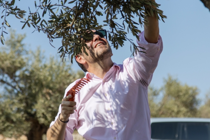 Le Consul Général de France à la cueillette des olives sur les terres de Taybeh. Octobre 2025. ©Paroisse de Taybeh