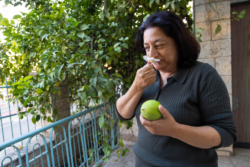 À Ramleh, la maison au citronnier toujours ouverte