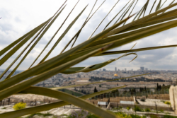 Les Églises de Jérusalem encouragent leurs fidèles à tenir bon