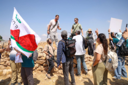 Des activistes israéliens font face aux colons sur les terres de Beit Sahour